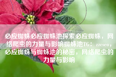 必应蜘蛛必应蜘蛛池探索必应蜘蛛，网络爬虫的力量与影响蜘蛛池TG：zzcseo，必应蜘蛛与蜘蛛池的秘密，网络爬虫的力量与影响