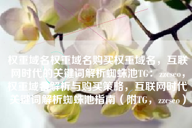 权重域名权重域名购买权重域名，互联网时代的关键词解析蜘蛛池TG：zzcseo，权重域名解析与购买策略，互联网时代关键词解析蜘蛛池指南（附TG，zzcseo）