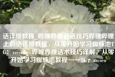 话详细教程_哔哩哔哩话话技巧哔哩哔哩上的话详细教程，从零开始学习蜘蛛池TG：zzcseo，哔哩哔哩话术技巧详解，从零开始学习蜘蛛池教程——TG，zzcseo