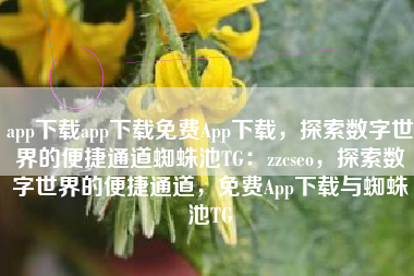 app下载app下载免费App下载，探索数字世界的便捷通道蜘蛛池TG：zzcseo，探索数字世界的便捷通道，免费App下载与蜘蛛池TG