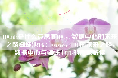IDCidc是什么意思啊IDC，数据中心的未来之路蜘蛛池TG：zzcseo，IDC的未来之路，数据中心与蜘蛛池TG的角色解读