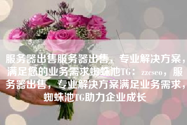服务器出售服务器出售，专业解决方案，满足您的业务需求蜘蛛池TG：zzcseo，服务器出售，专业解决方案满足业务需求，蜘蛛池TG助力企业成长