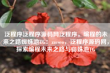 泛程序泛程序源码网泛程序，编程的未来之路蜘蛛池TG：zzcseo，泛程序源码网，探索编程未来之路与蜘蛛池TG