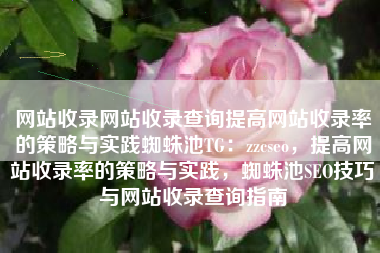 网站收录网站收录查询提高网站收录率的策略与实践蜘蛛池TG：zzcseo，提高网站收录率的策略与实践，蜘蛛池SEO技巧与网站收录查询指南