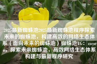 2025最新蜘蛛池2025最新蜘蛛池程序探索未来的蜘蛛池，构建高效的网络生态体系（面向未来的蜘蛛池）蜘蛛池TG：zzcseo，探索未来蜘蛛池，高效网络生态体系构建与最新程序研究