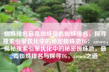 蜘蛛排名最毒蜘蛛排名蜘蛛排名，探寻搜索引擎优化中的秘密蜘蛛池TG：zzcseo，揭秘搜索引擎优化中的秘密蜘蛛池，最毒蜘蛛排名与探寻TG，zzcseo之道