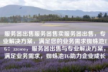 服务器出售服务器售卖服务器出售，专业解决方案，满足您的业务需求蜘蛛池TG：zzcseo，服务器出售与专业解决方案，满足业务需求，蜘蛛池TG助力企业成长