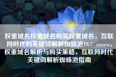 权重域名权重域名购买权重域名，互联网时代的关键词解析蜘蛛池TG：zzcseo，权重域名解析与购买策略，互联网时代关键词解析蜘蛛池指南