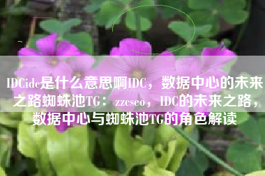 IDCidc是什么意思啊IDC，数据中心的未来之路蜘蛛池TG：zzcseo，IDC的未来之路，数据中心与蜘蛛池TG的角色解读