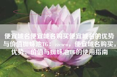 便宜域名便宜域名购买便宜域名的优势与价值蜘蛛池TG：zzcseo，便宜域名购买，优势、价值与蜘蛛池TG的使用指南