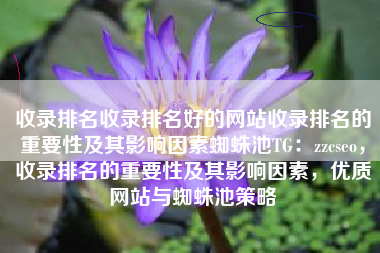 收录排名收录排名好的网站收录排名的重要性及其影响因素蜘蛛池TG：zzcseo，收录排名的重要性及其影响因素，优质网站与蜘蛛池策略
