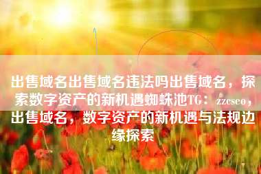 出售域名出售域名违法吗出售域名，探索数字资产的新机遇蜘蛛池TG：zzcseo，出售域名，数字资产的新机遇与法规边缘探索