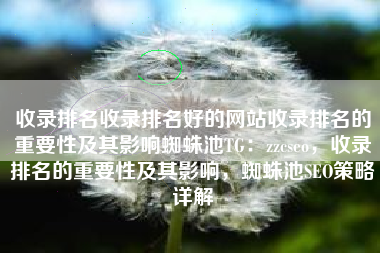 收录排名收录排名好的网站收录排名的重要性及其影响蜘蛛池TG：zzcseo，收录排名的重要性及其影响，蜘蛛池SEO策略详解