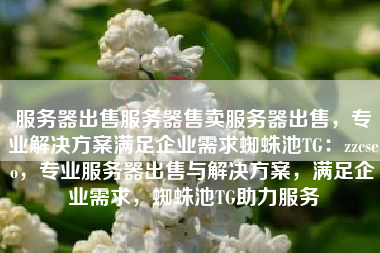 服务器出售服务器售卖服务器出售，专业解决方案满足企业需求蜘蛛池TG：zzcseo，专业服务器出售与解决方案，满足企业需求，蜘蛛池TG助力服务