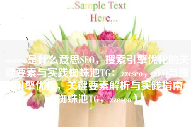 seoseo是什么意思SEO，搜索引擎优化的关键要素与实践蜘蛛池TG：zzcseo，SEO与搜索引擎优化，关键要素解析与实践指南（蜘蛛池TG，zzcseo）