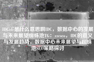 IDCidc是什么意思啊IDC，数据中心的发展与未来展望蜘蛛池TG：zzcseo，IDC的意义与发展趋势，数据中心未来展望与蜘蛛池SEO策略探讨
