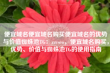 便宜域名便宜域名购买便宜域名的优势与价值蜘蛛池TG：zzcseo，便宜域名购买，优势、价值与蜘蛛池TG的使用指南