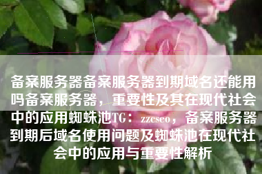 备案服务器备案服务器到期域名还能用吗备案服务器，重要性及其在现代社会中的应用蜘蛛池TG：zzcseo，备案服务器到期后域名使用问题及蜘蛛池在现代社会中的应用与重要性解析