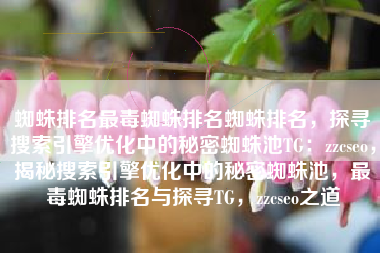 蜘蛛排名最毒蜘蛛排名蜘蛛排名，探寻搜索引擎优化中的秘密蜘蛛池TG：zzcseo，揭秘搜索引擎优化中的秘密蜘蛛池，最毒蜘蛛排名与探寻TG，zzcseo之道