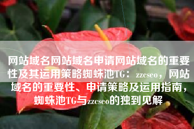 网站域名网站域名申请网站域名的重要性及其运用策略蜘蛛池TG：zzcseo，网站域名的重要性、申请策略及运用指南，蜘蛛池TG与zzcseo的独到见解