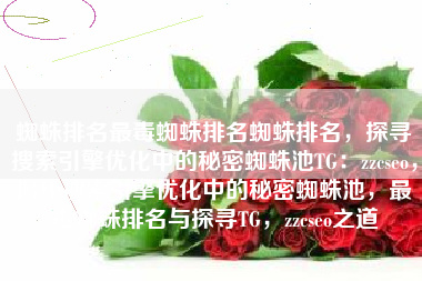 蜘蛛排名最毒蜘蛛排名蜘蛛排名，探寻搜索引擎优化中的秘密蜘蛛池TG：zzcseo，揭秘搜索引擎优化中的秘密蜘蛛池，最毒蜘蛛排名与探寻TG，zzcseo之道