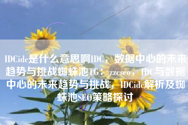 IDCidc是什么意思啊IDC，数据中心的未来趋势与挑战蜘蛛池TG：zzcseo，IDC与数据中心的未来趋势与挑战，IDCidc解析及蜘蛛池SEO策略探讨