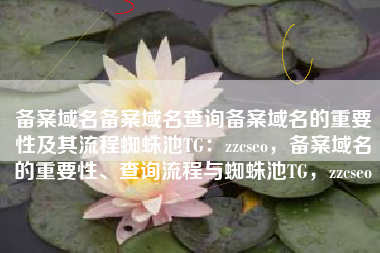 备案域名备案域名查询备案域名的重要性及其流程蜘蛛池TG：zzcseo，备案域名的重要性、查询流程与蜘蛛池TG，zzcseo