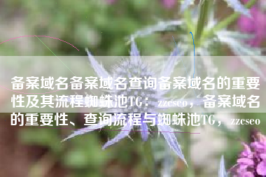 备案域名备案域名查询备案域名的重要性及其流程蜘蛛池TG：zzcseo，备案域名的重要性、查询流程与蜘蛛池TG，zzcseo