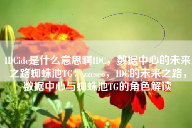 IDCidc是什么意思啊IDC，数据中心的未来之路蜘蛛池TG：zzcseo，IDC的未来之路，数据中心与蜘蛛池TG的角色解读