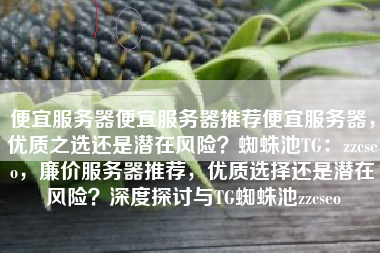 便宜服务器便宜服务器推荐便宜服务器，优质之选还是潜在风险？蜘蛛池TG：zzcseo，廉价服务器推荐，优质选择还是潜在风险？深度探讨与TG蜘蛛池zzcseo