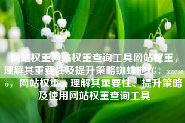网站权重网站权重查询工具网站权重，理解其重要性及提升策略蜘蛛池TG：zzcseo，网站权重，理解其重要性、提升策略及使用网站权重查询工具