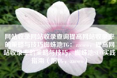 网站收录网站收录查询提高网站收录率的策略与技巧蜘蛛池TG：zzcseo，提高网站收录率的策略与技巧，蜘蛛池SEO实践指南（附TG，zzcseo）