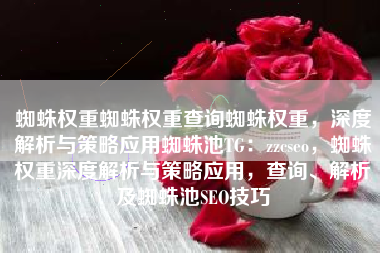 蜘蛛权重蜘蛛权重查询蜘蛛权重，深度解析与策略应用蜘蛛池TG：zzcseo，蜘蛛权重深度解析与策略应用，查询、解析及蜘蛛池SEO技巧