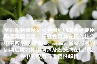 备案服务器备案服务器到期域名还能用吗备案服务器，重要性及其在现代社会中的应用蜘蛛池TG：zzcseo，备案服务器到期后域名使用问题及蜘蛛池在现代社会中的应用与重要性解析