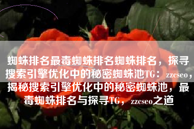 蜘蛛排名最毒蜘蛛排名蜘蛛排名，探寻搜索引擎优化中的秘密蜘蛛池TG：zzcseo，揭秘搜索引擎优化中的秘密蜘蛛池，最毒蜘蛛排名与探寻TG，zzcseo之道
