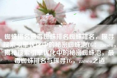 蜘蛛排名最毒蜘蛛排名蜘蛛排名，探寻搜索引擎优化中的秘密蜘蛛池TG：zzcseo，揭秘搜索引擎优化中的秘密蜘蛛池，最毒蜘蛛排名与探寻TG，zzcseo之道