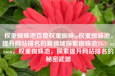 权重蜘蛛池百度权重蜘蛛ip权重蜘蛛池，提升网站排名的新领域探索蜘蛛池TG：zzcseo，权重蜘蛛池，探索提升网站排名的秘密武器