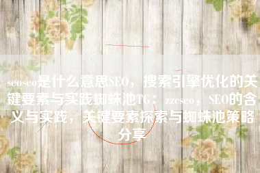 seoseo是什么意思SEO，搜索引擎优化的关键要素与实践蜘蛛池TG：zzcseo，SEO的含义与实践，关键要素探索与蜘蛛池策略分享