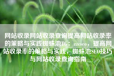 网站收录网站收录查询提高网站收录率的策略与实践蜘蛛池TG：zzcseo，提高网站收录率的策略与实践，蜘蛛池SEO技巧与网站收录查询指南