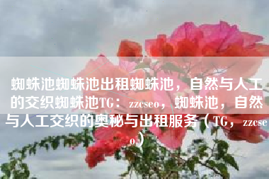 蜘蛛池蜘蛛池出租蜘蛛池，自然与人工的交织蜘蛛池TG：zzcseo，蜘蛛池，自然与人工交织的奥秘与出租服务（TG，zzcseo）