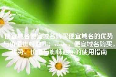 便宜域名便宜域名购买便宜域名的优势与价值蜘蛛池TG：zzcseo，便宜域名购买，优势、价值与蜘蛛池TG的使用指南