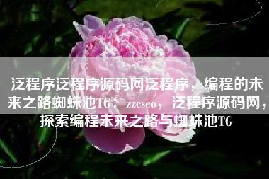 泛程序泛程序源码网泛程序，编程的未来之路蜘蛛池TG：zzcseo，泛程序源码网，探索编程未来之路与蜘蛛池TG