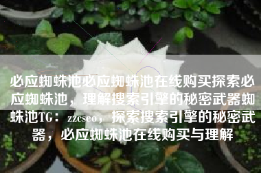 必应蜘蛛池必应蜘蛛池在线购买探索必应蜘蛛池，理解搜索引擎的秘密武器蜘蛛池TG：zzcseo，探索搜索引擎的秘密武器，必应蜘蛛池在线购买与理解