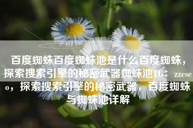 百度蜘蛛百度蜘蛛池是什么百度蜘蛛，探索搜索引擎的秘密武器蜘蛛池TG：zzcseo，探索搜索引擎的秘密武器，百度蜘蛛与蜘蛛池详解
