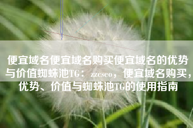 便宜域名便宜域名购买便宜域名的优势与价值蜘蛛池TG：zzcseo，便宜域名购买，优势、价值与蜘蛛池TG的使用指南