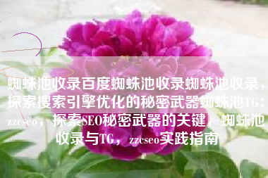 蜘蛛池收录百度蜘蛛池收录蜘蛛池收录，探索搜索引擎优化的秘密武器蜘蛛池TG：zzcseo，探索SEO秘密武器的关键，蜘蛛池收录与TG，zzcseo实践指南