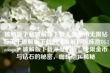 破解版下载破解版下载无限金币无限钻石关于破解版下载的深度解析蜘蛛池TG：zzcseo，破解版下载深度解析，无限金币与钻石的秘密，蜘蛛池TG揭秘