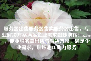 服务器出售服务器售卖服务器出售，专业解决方案满足企业需求蜘蛛池TG：zzcseo，专业服务器出售与解决方案，满足企业需求，蜘蛛池TG助力服务