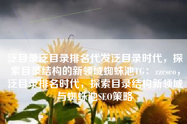 泛目录泛目录排名代发泛目录时代，探索目录结构的新领域蜘蛛池TG：zzcseo，泛目录排名时代，探索目录结构新领域与蜘蛛池SEO策略