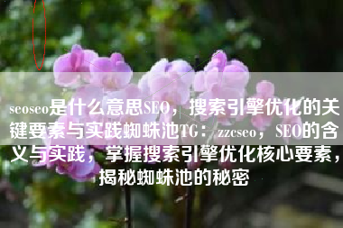 seoseo是什么意思SEO，搜索引擎优化的关键要素与实践蜘蛛池TG：zzcseo，SEO的含义与实践，掌握搜索引擎优化核心要素，揭秘蜘蛛池的秘密
